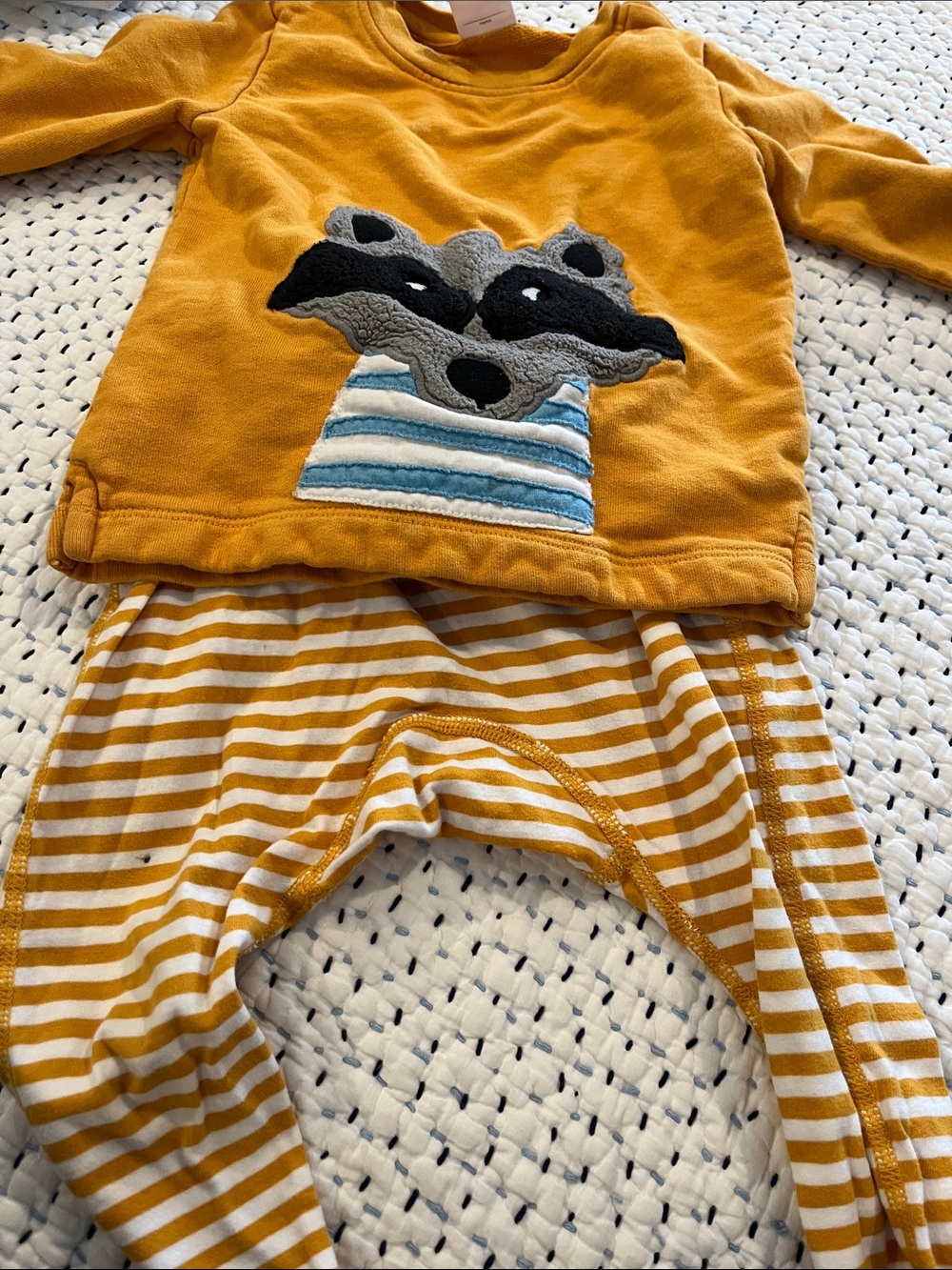 Hanna Andersson Mustard Yellow Raccoon Appliqué Top with Striped Pants